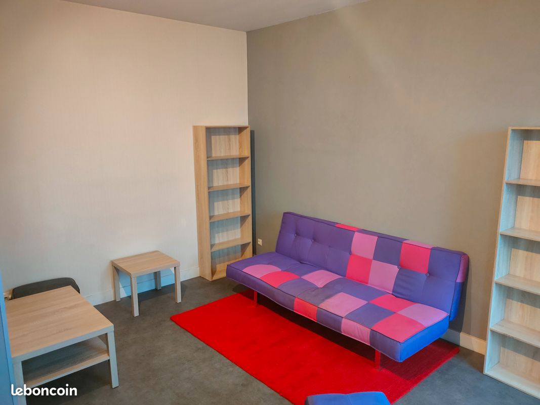 Angoulême centre ville - grand t2 meublé disponible - Angoulême 16000 (image principale 0)