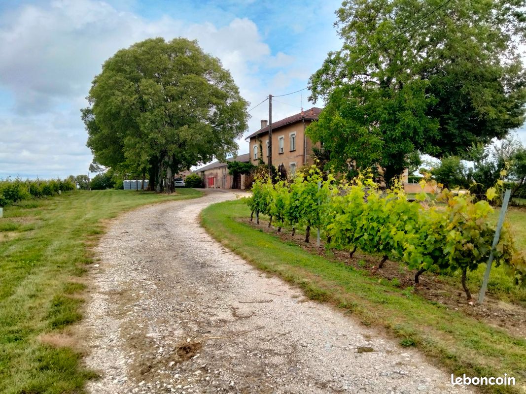 Maison 10 pièces 250 m² · à Monbazillac · 250 m² · 160 000 €
