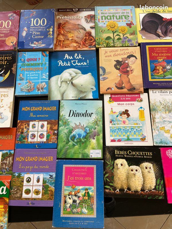 Livres enfant jeunesse (image 6)