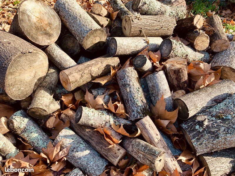 Bois de chauffage - stère de chêne sec - ou tout venant (encore frais) (image 2)
