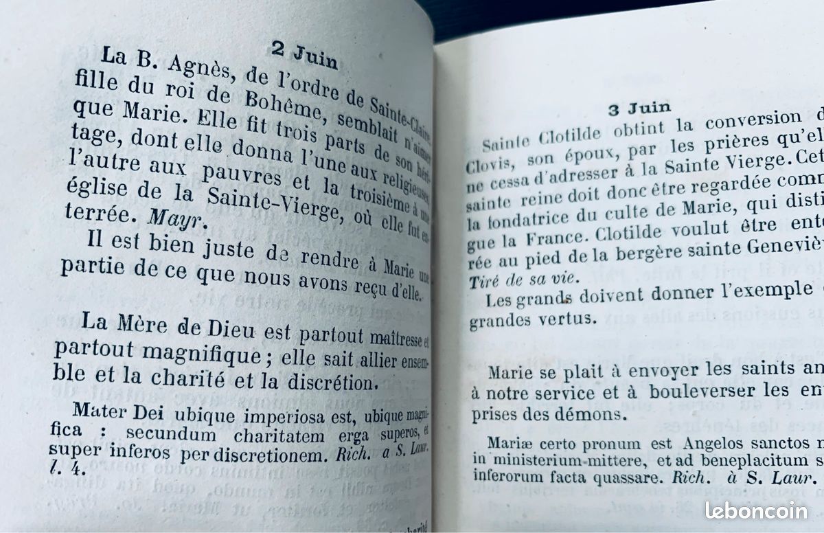 Livre religieux catholique de 1866 l’année de Marie (image 9)