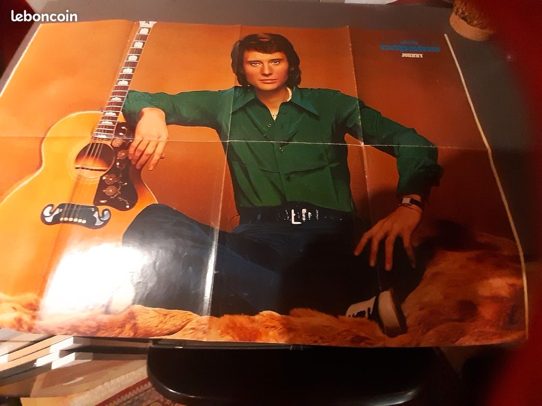 Johnny Hallyday (image 10)