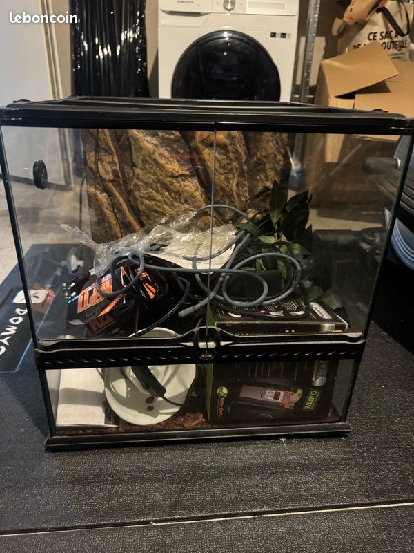 Terrarium (image 3)