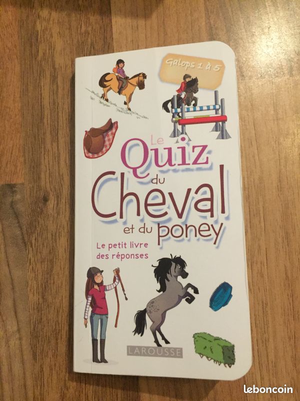 Le quiz du cheval et du poney (image 3)