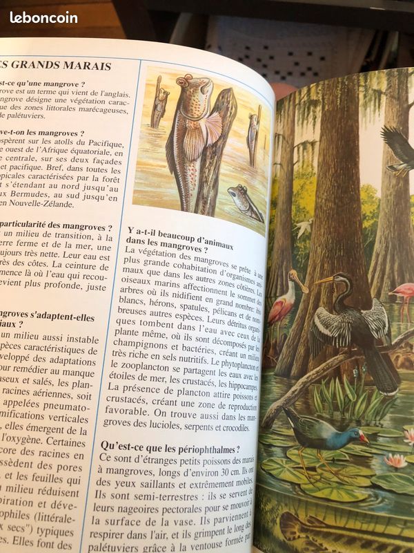 Les animaux de la nature en 666 questions (image 6)