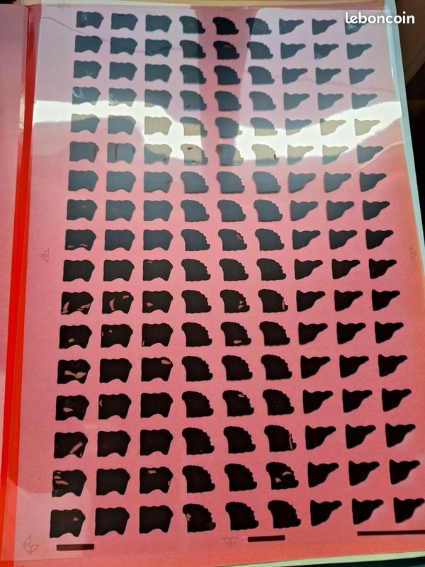 Serigraphie dinosaures 2 (image 3)