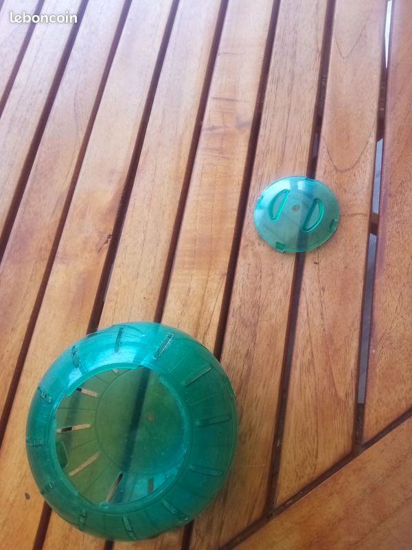 Boule Hamster (image 2)