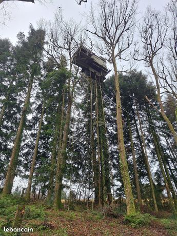 Forêt diversifiée de 8,5 ha à Meilhards - à vendre