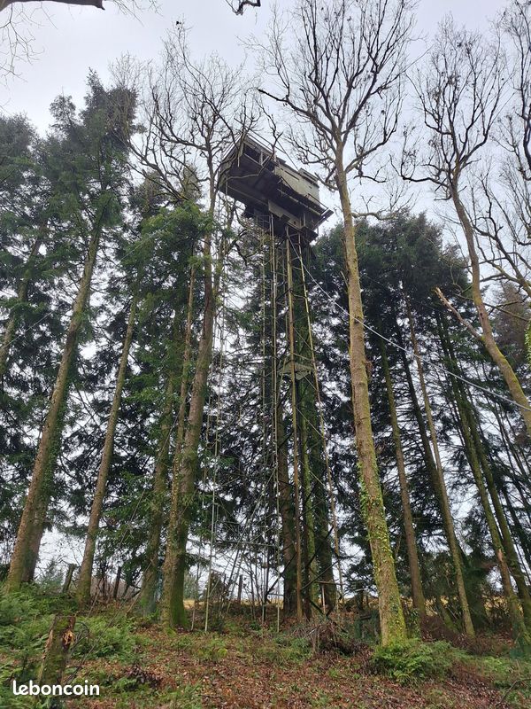 Forêt diversifiée de 8,5 ha à Meilhards - à vendre · 62 000 €