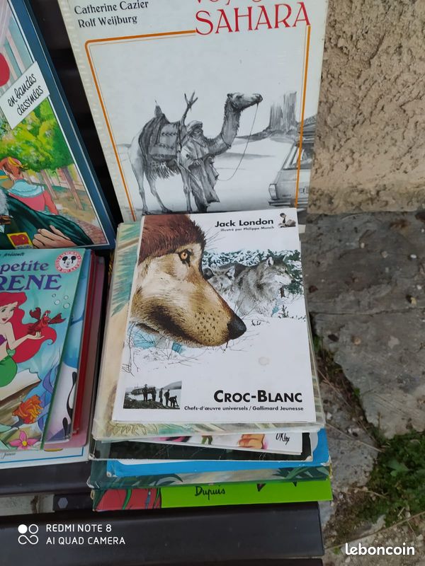 Livres enfants (image 5)