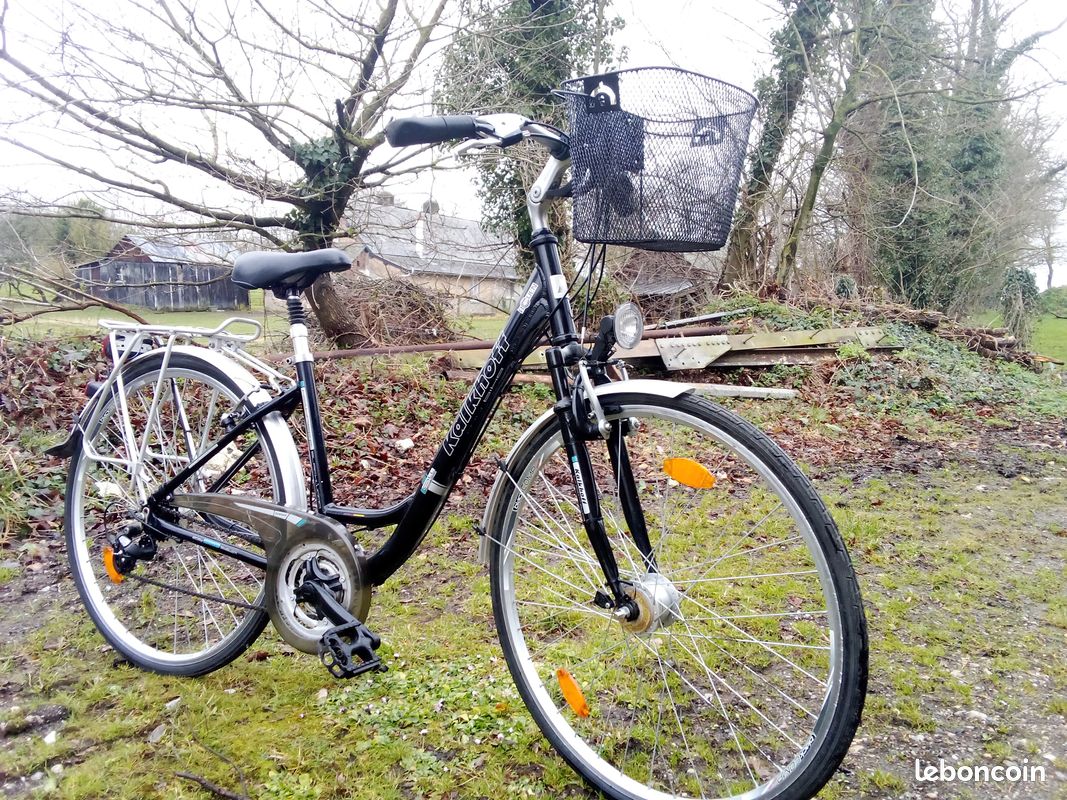Zalydala Vélo à Trois Roues 24 Pouces Avec Étagère Et Lumières - Pour Personnes Âgées