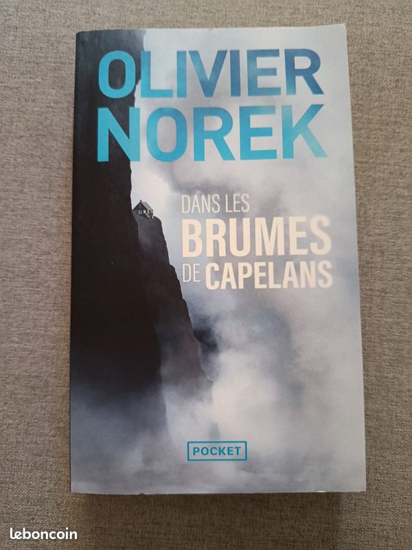 Livre "Dans les brumes de Capelans" (image 1)