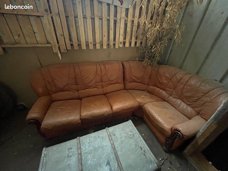 Canape cuire (image 1)