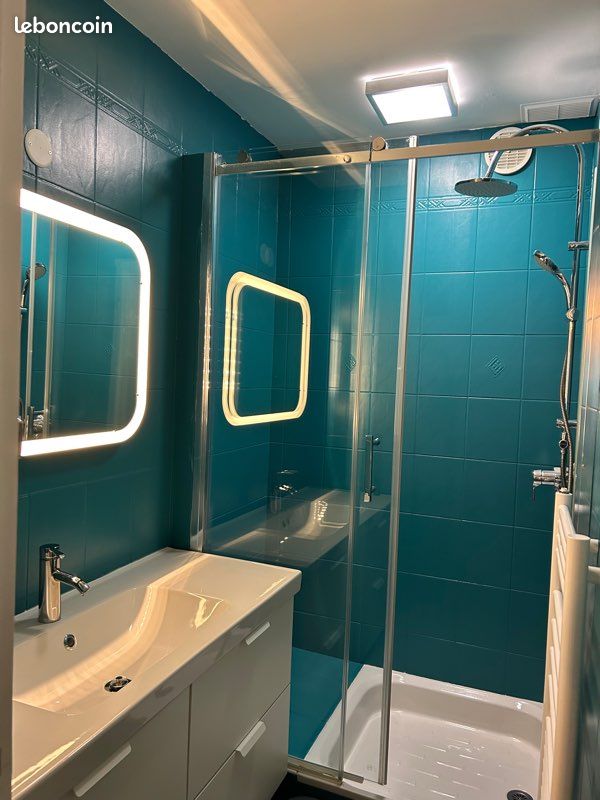 Grand T3 dans chalet individuel avec jardin St Lary (image 11)