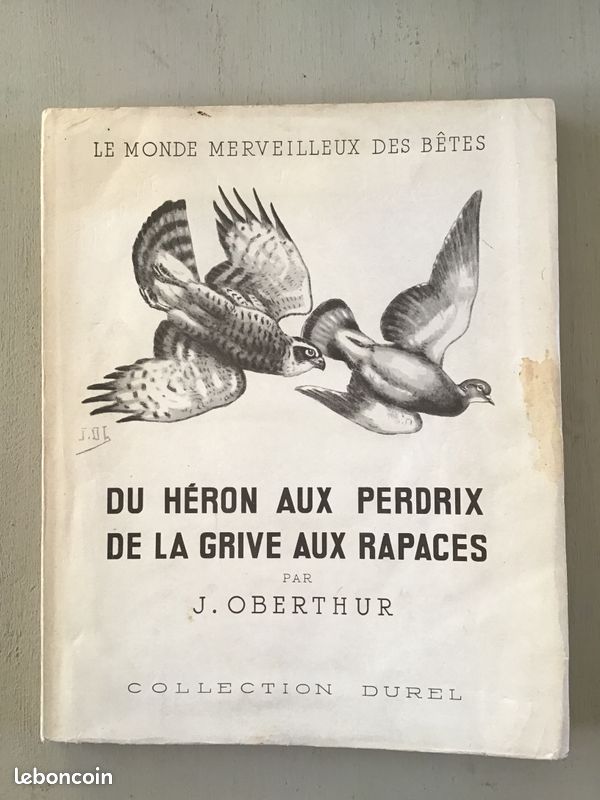 Du héron aux perdrix, de la grive aux rapaces par J.Oberthur (image 1)