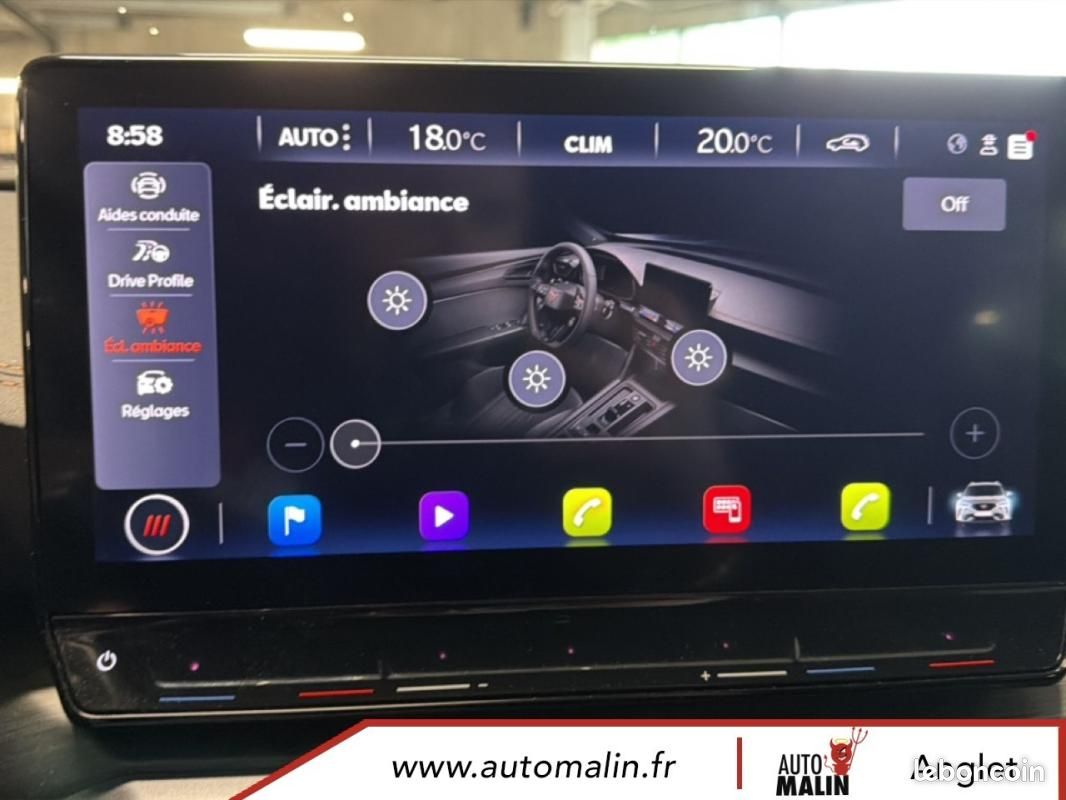 Cupra Formentor 2.0 TDI 150 ch Business Edition (image 34)