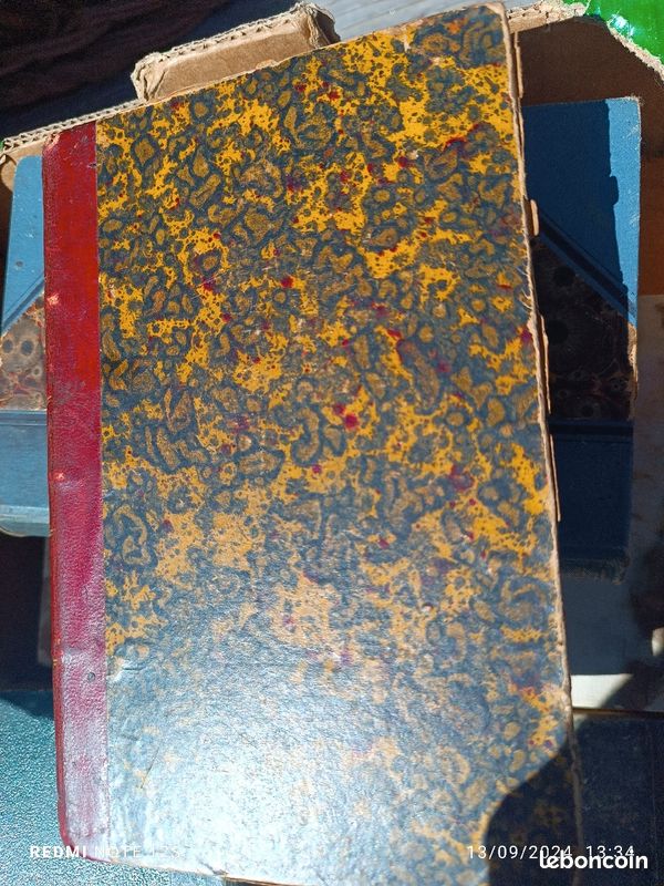 Livre ancien.les batailles de la vie (image 5)