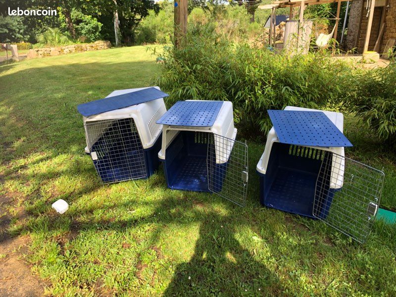 Cage de transport pour chien (image 1)