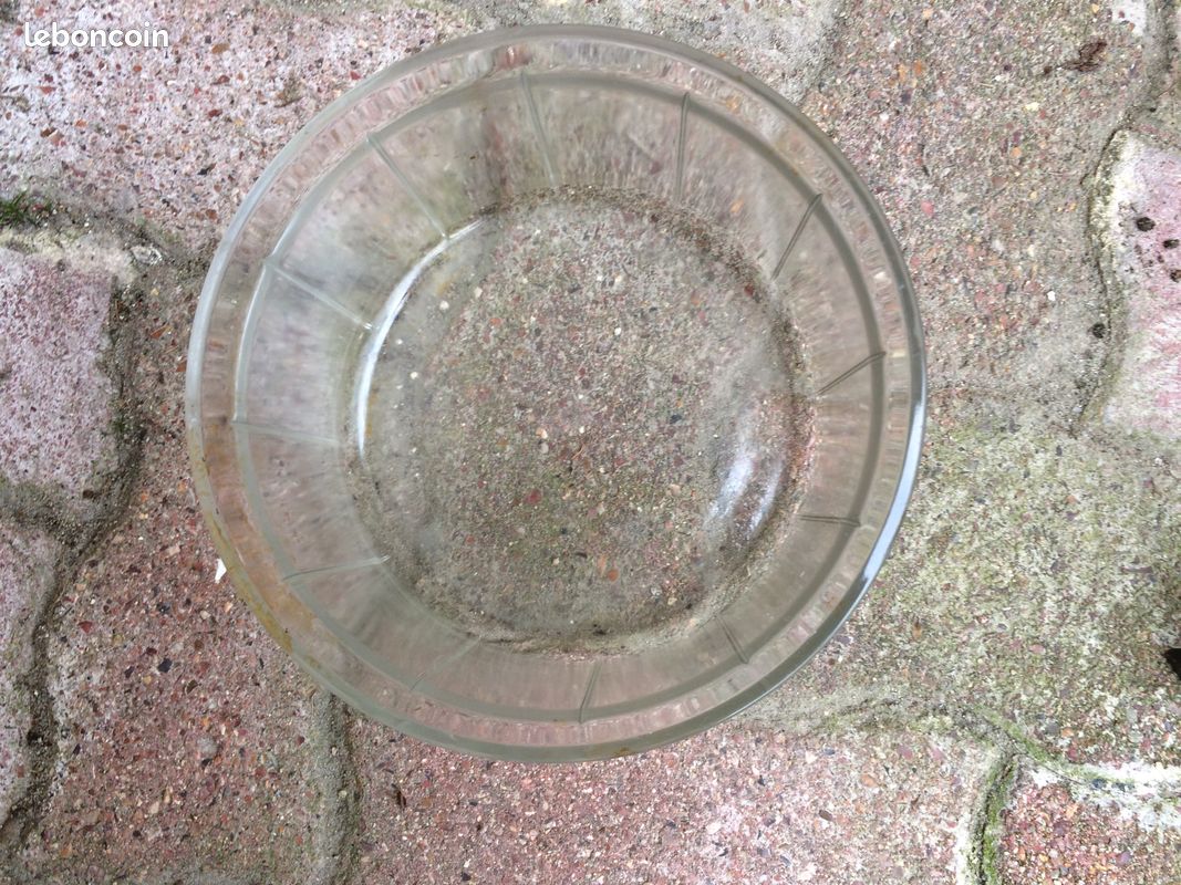Plat a soufflet en pyrex - SOSO (image 2)