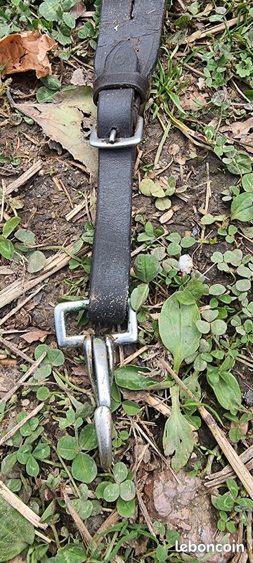 Poitrine De Course En Cuir Marron Pour Cheval - Martingale Complète - Neuve