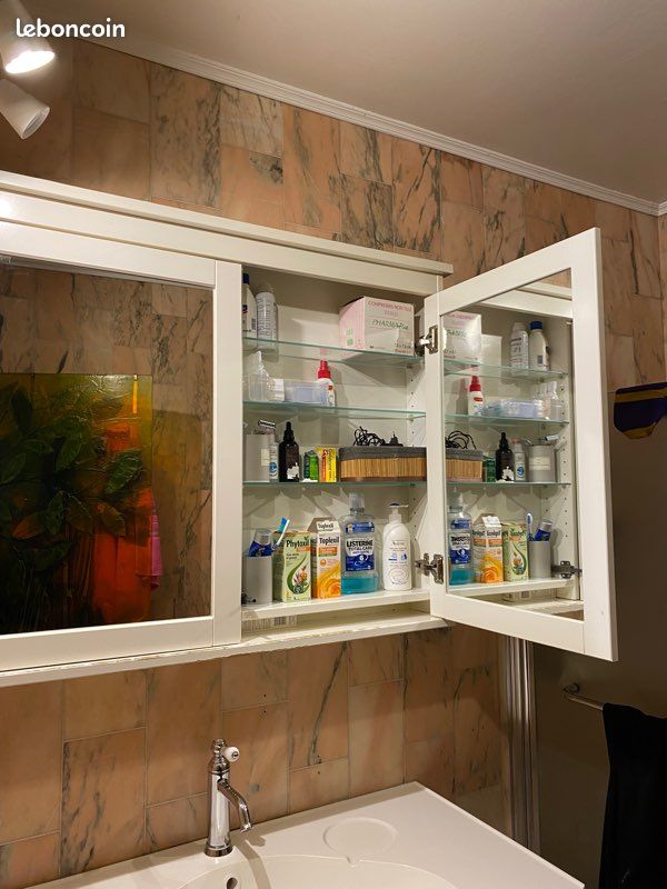 Meuble salle de bain + miroir (image 3)