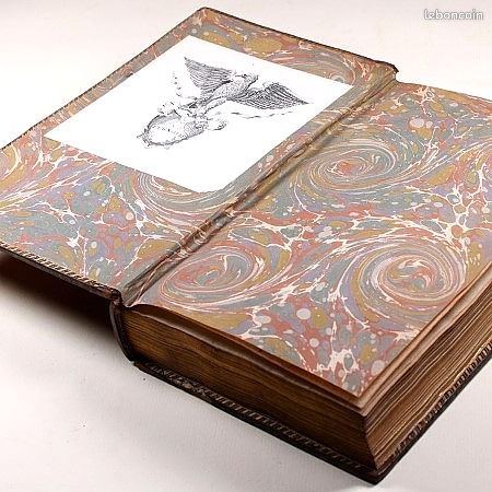 Œuvres complètes de Jean-Jacques Rousseau en 37 volumes (image 5)