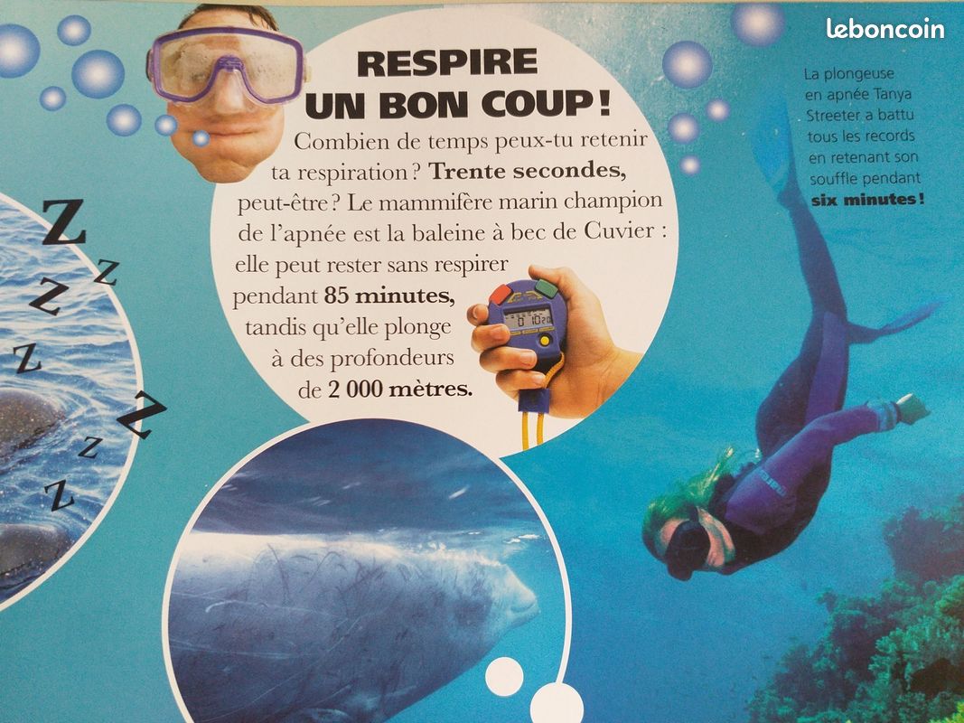 Livre " SPLOUF " le Monde aquatique - Gemma FLETCHER - MILAN Jeunesse 2009 (image 3)