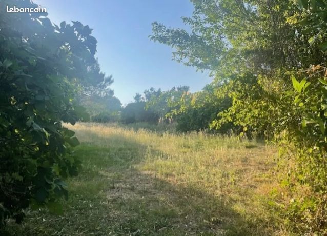 Terrain 1480 m² Mauressac
