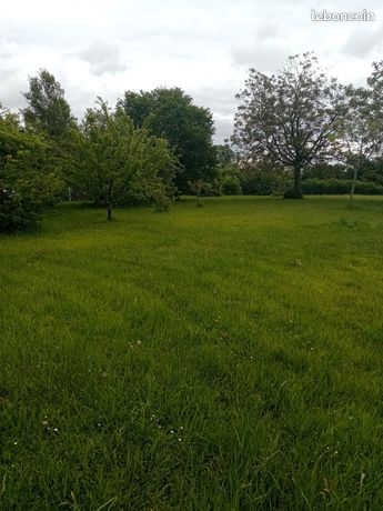 Terrain constructible 2960 m2 Pellevoisin