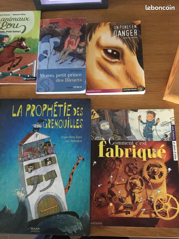 Romans Livres niveau CM1 (image 1)