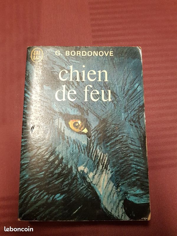 Chien de feu (image 1)