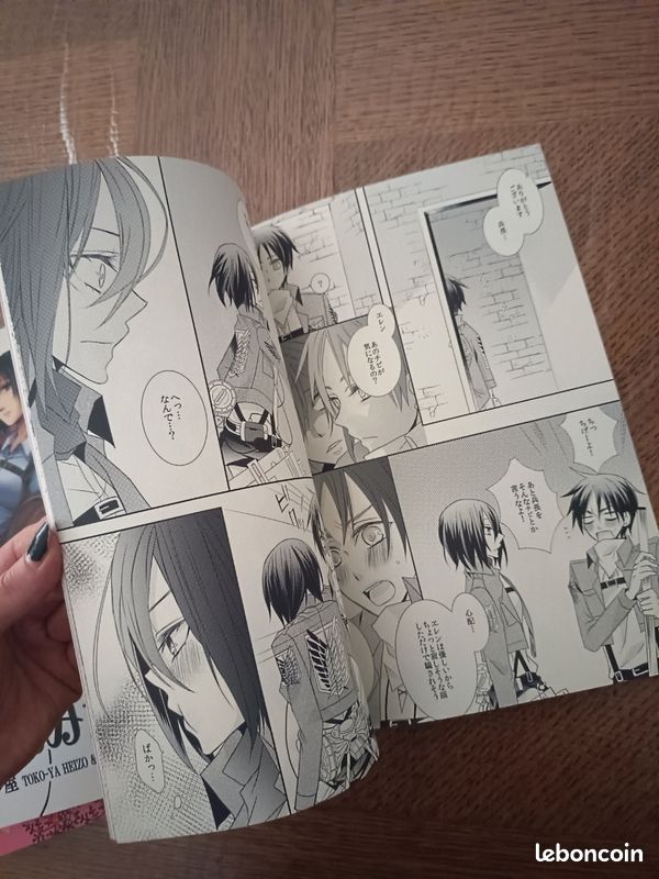 Lot fanbook attack on Titan (image 8)