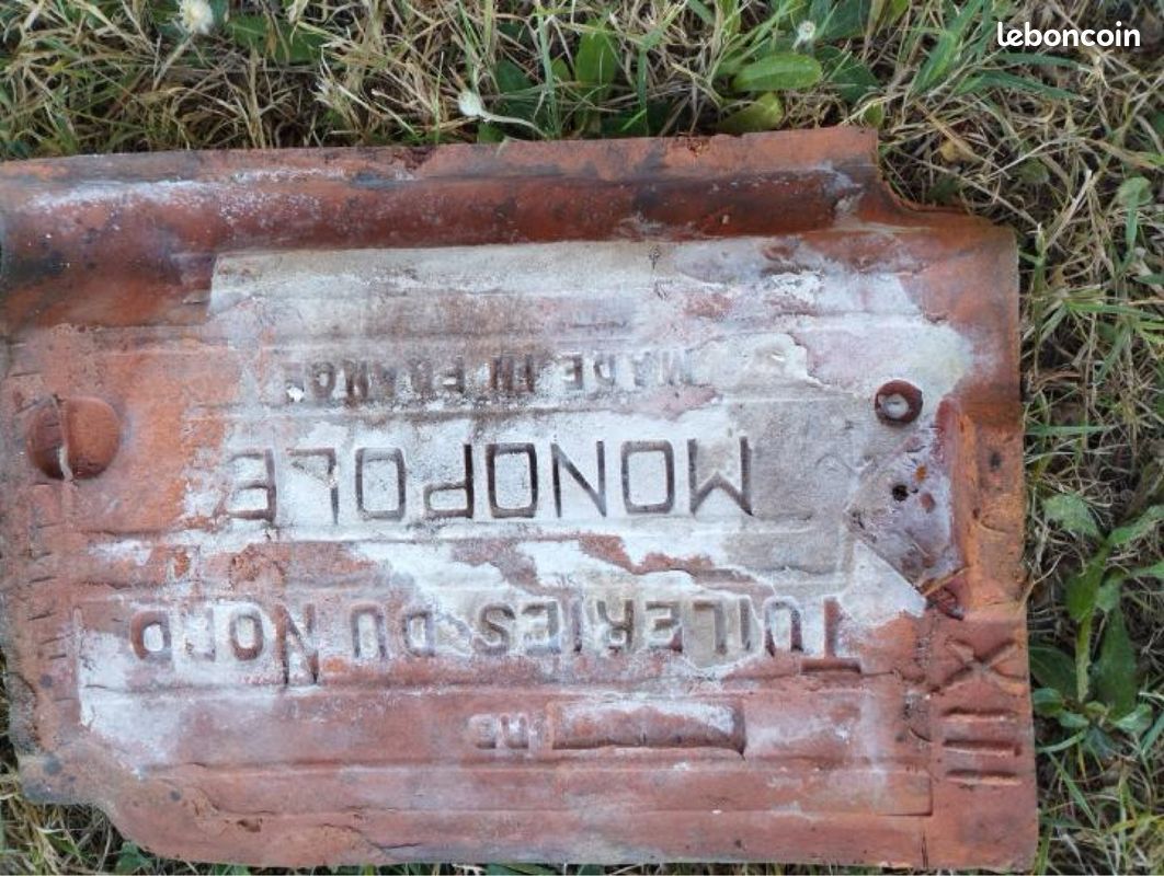 Tuile monopole (image 2)