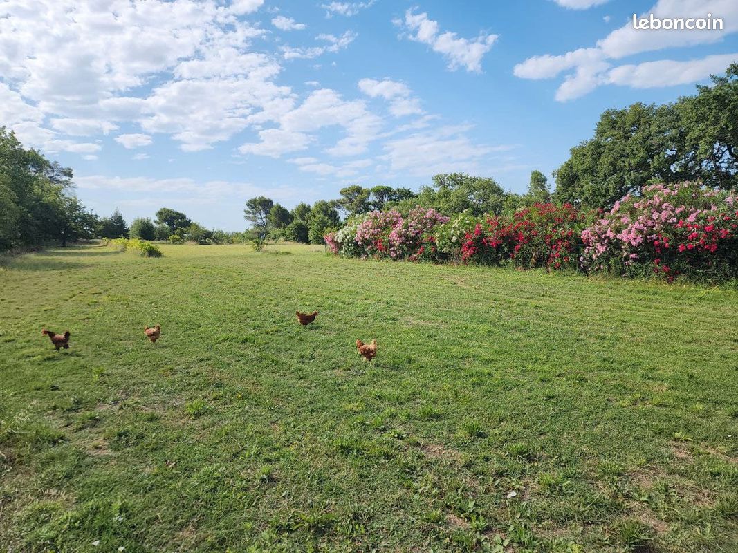 La Bastide Artistique (image 5)