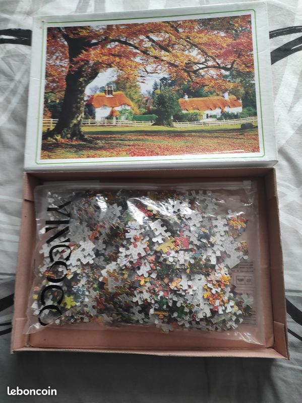 Puzzle 1000 pièces complet (image 2)