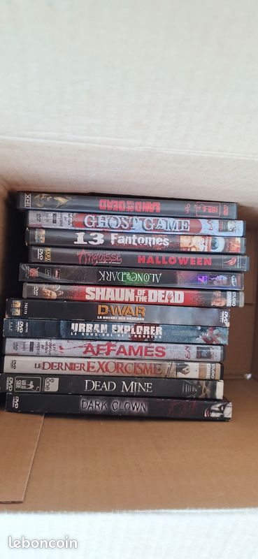 Dvd horreur (image 1)