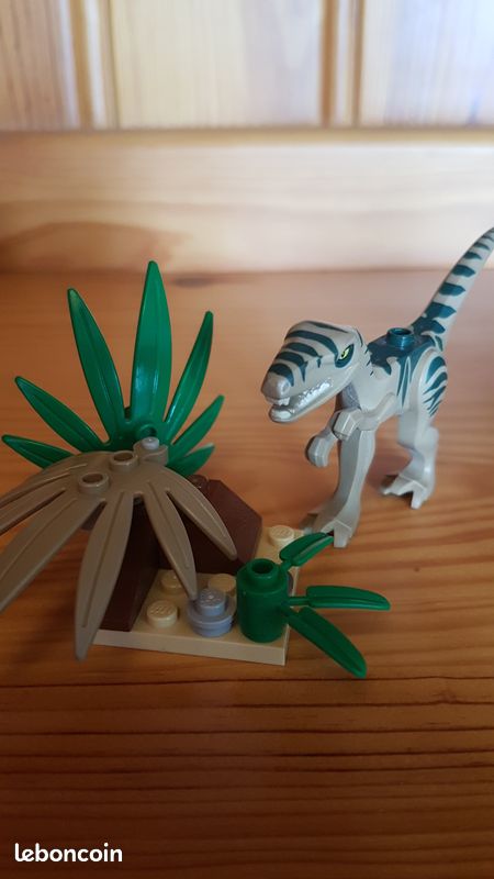 LEGO DINO 5882 L'embuscade du Coelophysis (image 1)