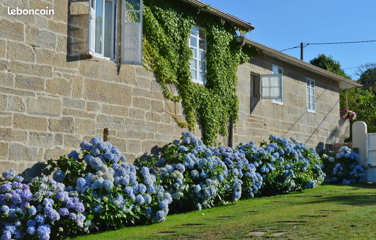Maison 11 pièces 360 m² · à Arette · 360 m² · 395 000 €