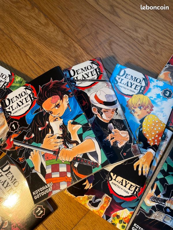 Demon Slayer volume 1 à 10 (image 2)