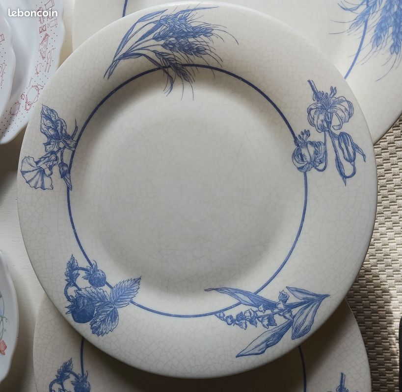 Assiettes arcopal (image 2)