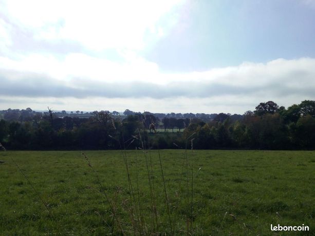 Terrain 29067 m² Villaines-la-Juhel