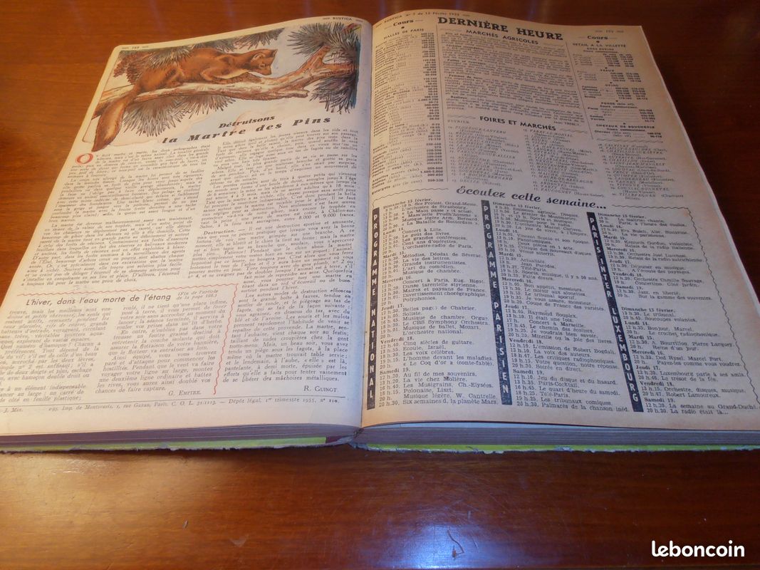 Album Rustica 1955 (3) (image 2)