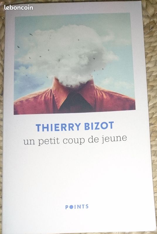 Un petit coup de jeune roman (image 1)