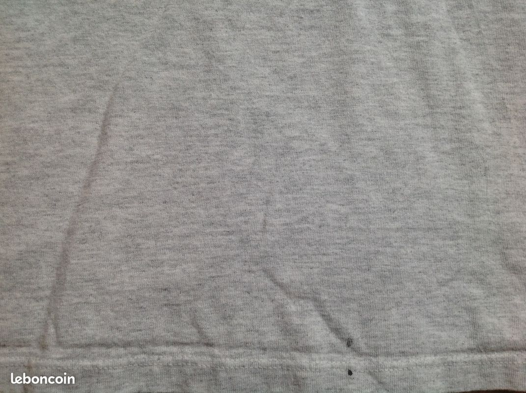 Tee-shirt Train insane or remain the same Envoi Possible (image 5)
