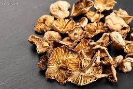Champignon (image 5)