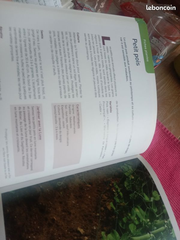 Le jardin bio pour les débutants (image 15)