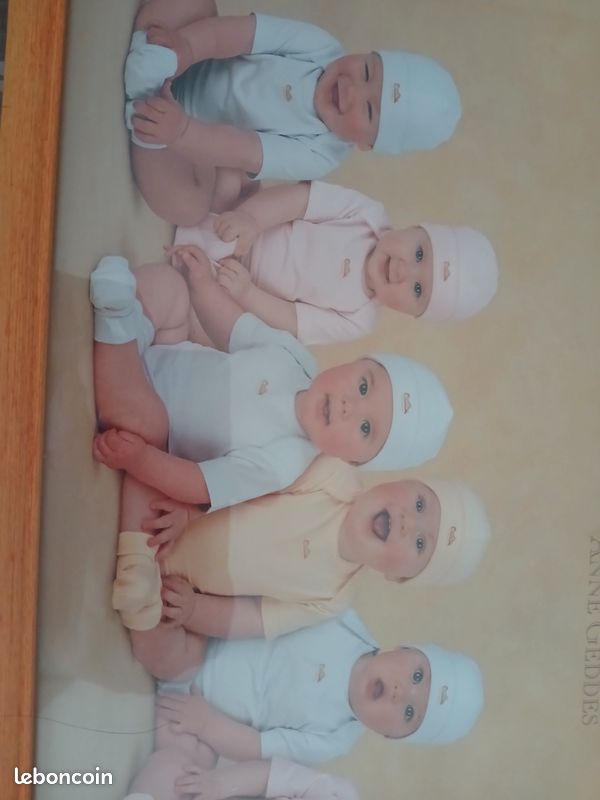 Tableau de ANNE GEDDES (image 3)