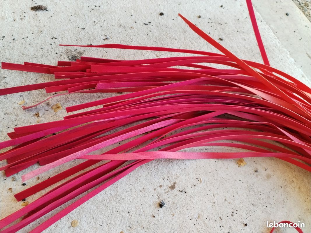 Lame de bois souple (image 1)