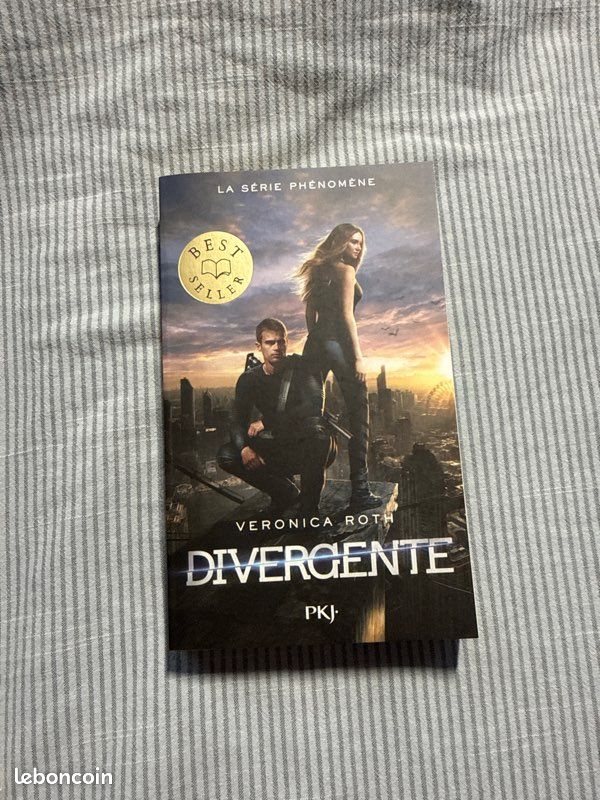 Livre divergente 1 (image 2)