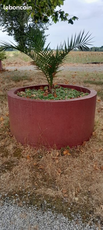 Dernier Grand bac à fleurs / plantes / arbuste (image 1)
